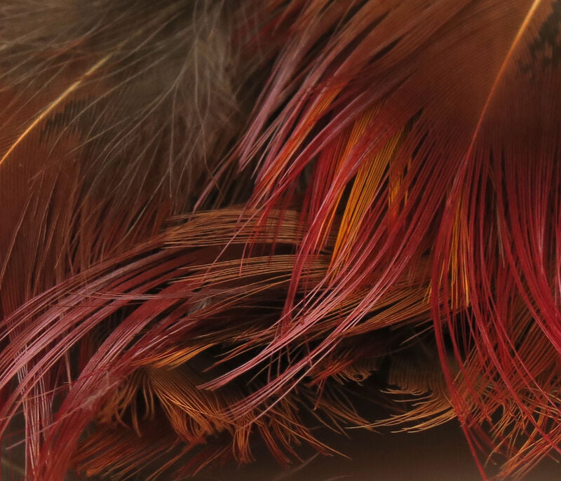 blend of reddish-brown and gray feathers from Hareline Golden Pheasant Body Feathers in a natural shade