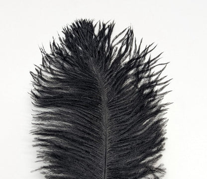 Natures Spirit Ostrich Plume