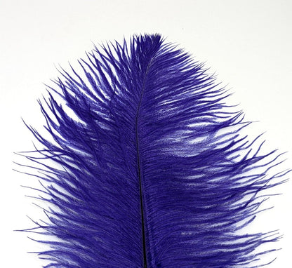 Natures Spirit Ostrich Plume